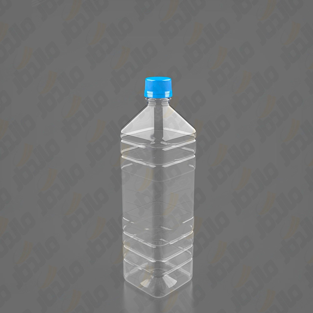 b18-1-bottle.jpg